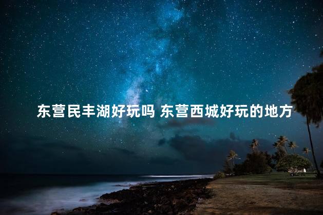 东营民丰湖好玩吗 东营西城好玩的地方